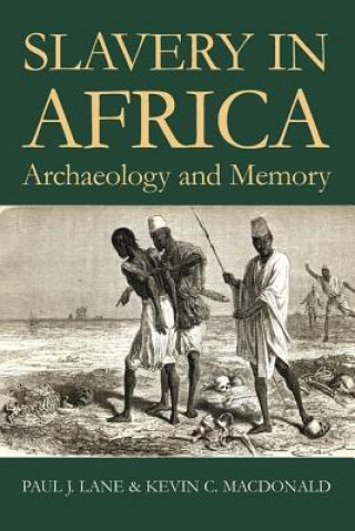 Könyv Slavery in Africa Paul Lane