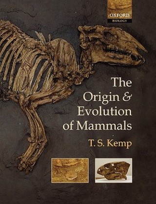 Kniha Origin and Evolution of Mammals Tom Kemp