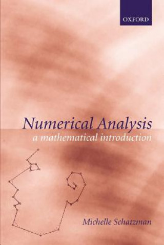 Kniha Numerical Analysis Schatzman