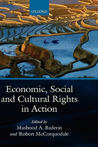 Книга Economic, Social, and Cultural Rights in Action Mashood Baderin