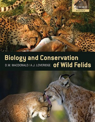 Kniha Biology and Conservation of Wild Felids Macdonald