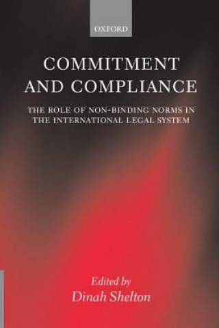 Kniha Commitment and Compliance Dinah Shelton