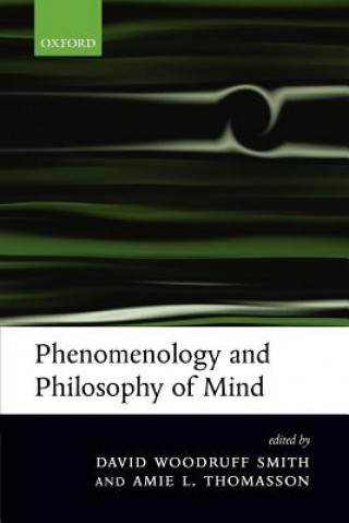 Kniha Phenomenology and Philosophy of Mind David Woodruff Smith