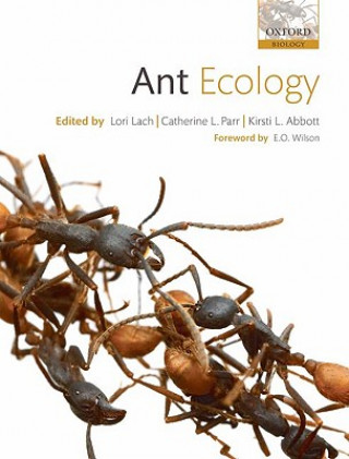 Könyv Ant Ecology Lach