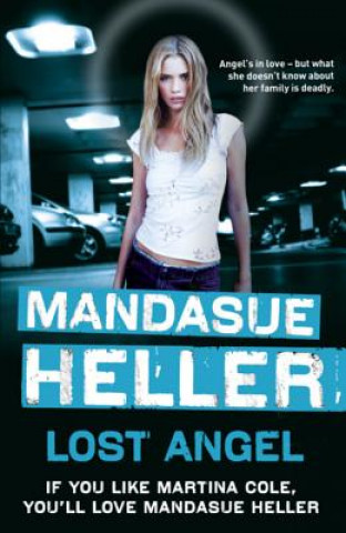 Книга Lost Angel Mandasue Heller