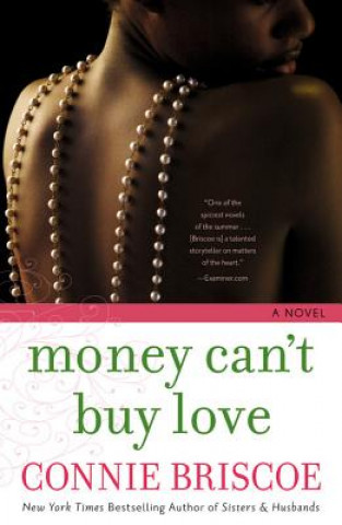 Knjiga Money Can't Buy Love Connie Briscoe