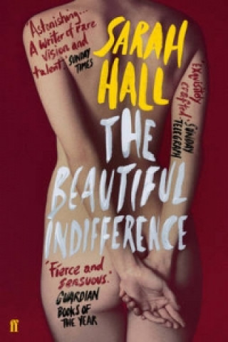 Kniha Beautiful Indifference Sarah Hall