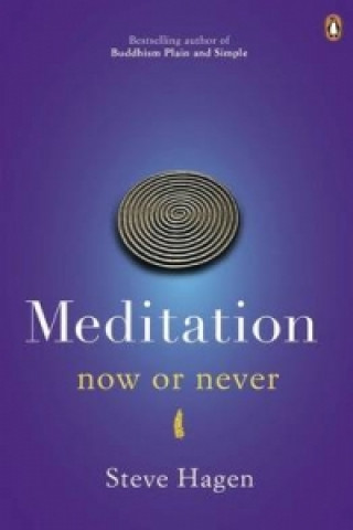 Buch Meditation Now or Never Steve Hagen