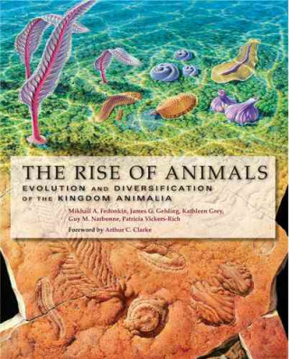 Könyv Rise of Animals Mikhail A Fedonkin