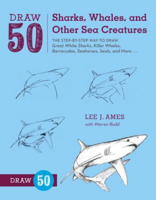 Carte Draw 50 Sharks, Whales, and Other Sea Creatures Lee Ames