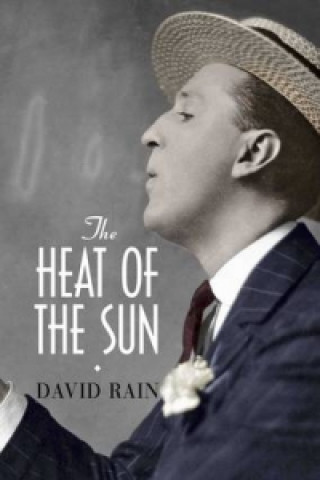 Kniha Heat of the Sun David Rain