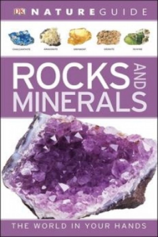 Carte Nature Guide Rocks and Minerals DK