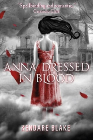 Kniha Anna Dressed in Blood Kendare Blake