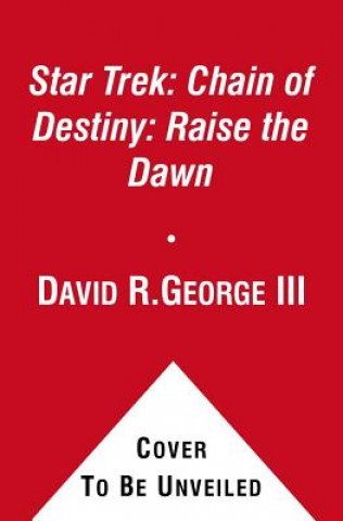 Könyv Typhon Pact: Raise the Dawn David R. George