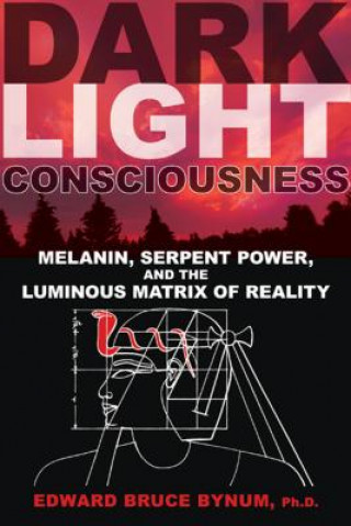 Kniha Dark Light Consciousness Edward Bruce Bynum