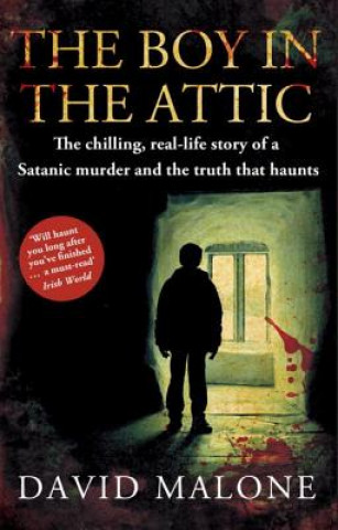 Книга Boy in the Attic David Malone