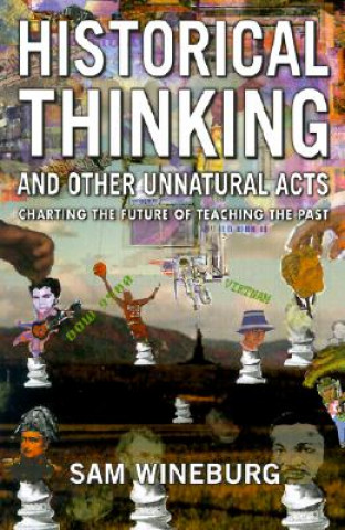 Kniha Historical Thinking Samuel Wineburg