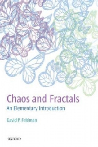 Książka Chaos and Fractals David P Feldman