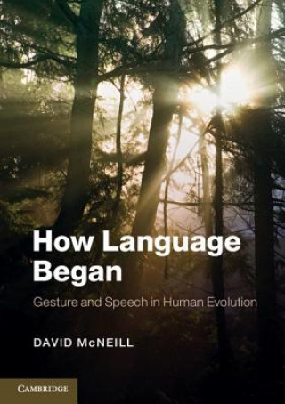 Könyv How Language Began David McNeill