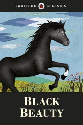 Książka Ladybird Classics: Black Beauty Anna Sewell