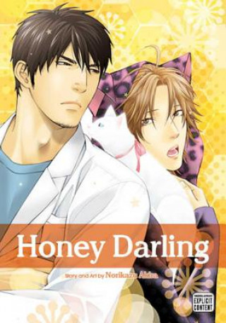 Kniha Honey Darling Norikazu Akira