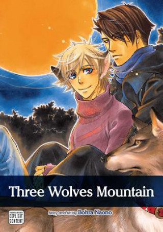 Kniha Three Wolves Mountain Bohra Naono