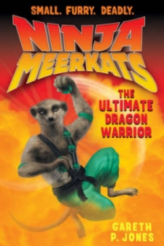Book Ultimate Dragon Warrior Gareth Jones