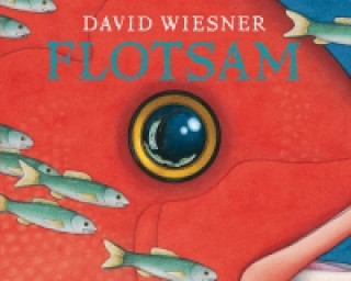 Könyv Flotsam David Wiesner