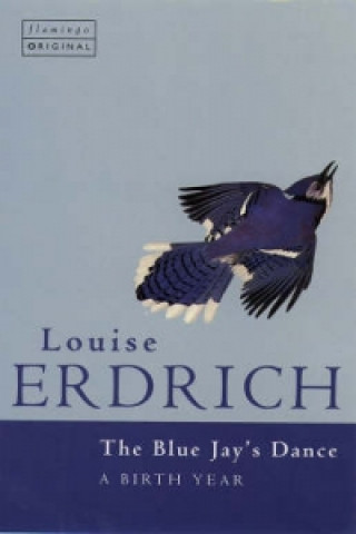 Książka Bluejay's Dance Louise Erdrich