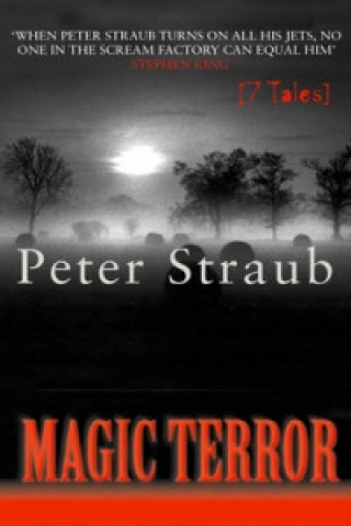 Knjiga Magic Terror Peter Straub