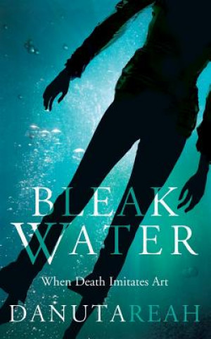 Könyv Bleak Water Danuta Reah