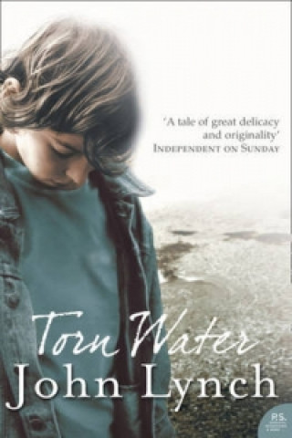 Knjiga Torn Water John Lynch