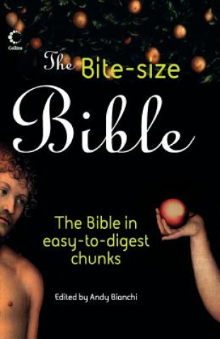 Kniha Bite-size Bible 