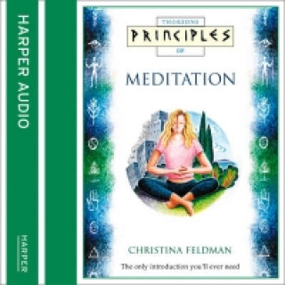 Audiokniha Meditation: The Only Introduction You'll Ever Need (Principles of) Christina Feldman