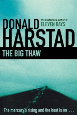 Knjiga Big Thaw Donald Harstad