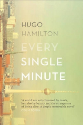 Book Every Single Minute Hugo Hamilton