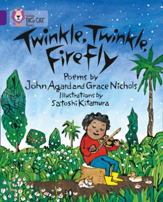 Książka Twinkle, Twinkle, Firefly John Agard