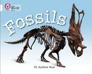 Libro Fossils Andrew Ross