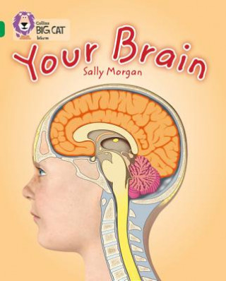 Carte Your Brain Sally Morgan
