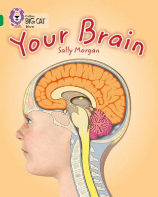 Βιβλίο Your Brain Sally Morgan