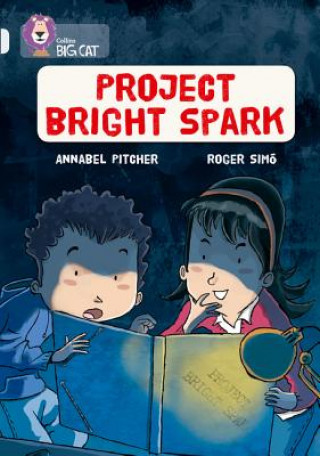 Kniha Project Bright Spark Annabel Pitcher
