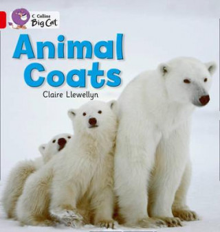 Knjiga Animal Coats Workbook Claire Llewellyn