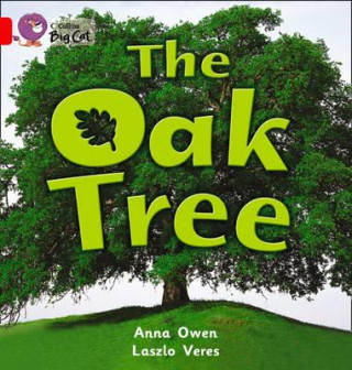Kniha Oak Tree Workbook Anna Owen