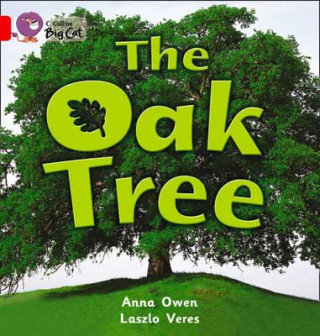 Книга Oak Tree Workbook Anna Owen