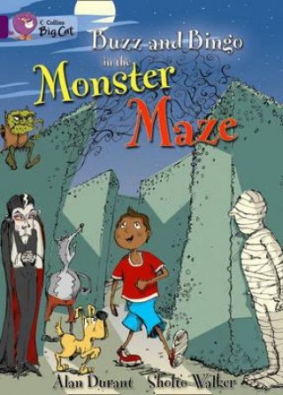 Carte Buzz and Bingo and the Monster Maze Workbook Alan Durant