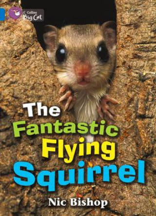 Kniha Fantastic Flying Squirrel Workbook Nic Bishop