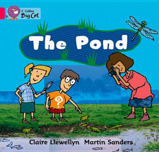 Könyv Pond Workbook Claire Llewellyn