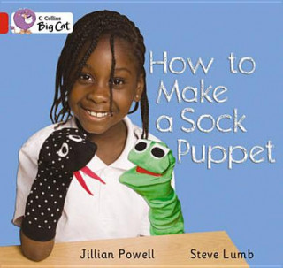 Carte How to Make a Sock Puppet? Workbook 