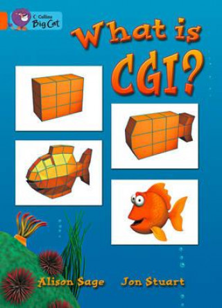 Kniha What is CGI? Workbook Alison Sage