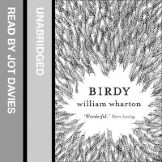 Audiokniha Birdy William Wharton